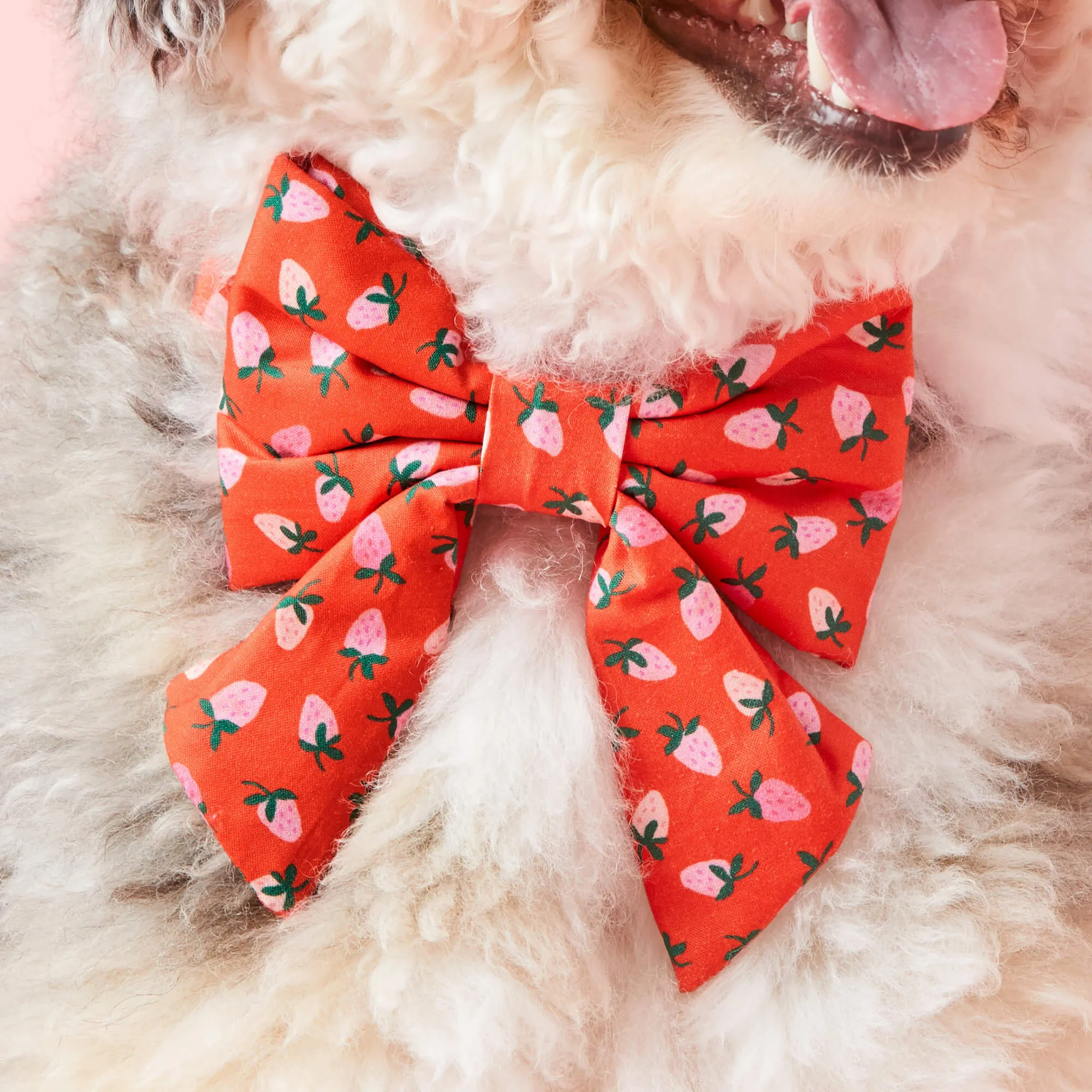 Berry Sweet Lady Dog Bow