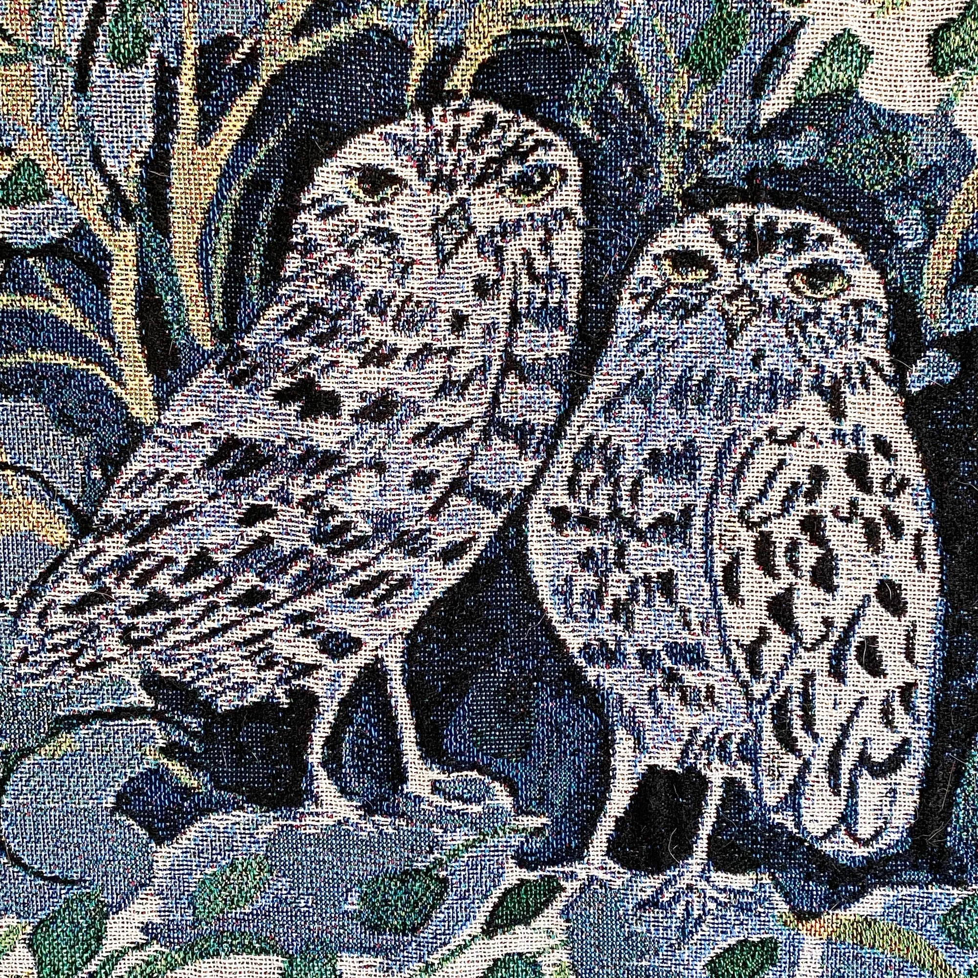 Burrowers Blanket