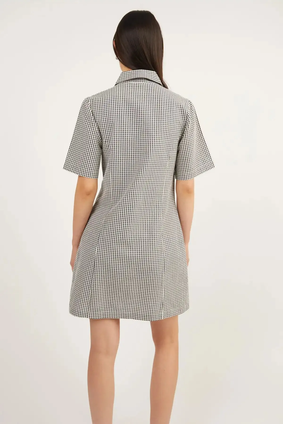 Collared Mini Gingham Dress