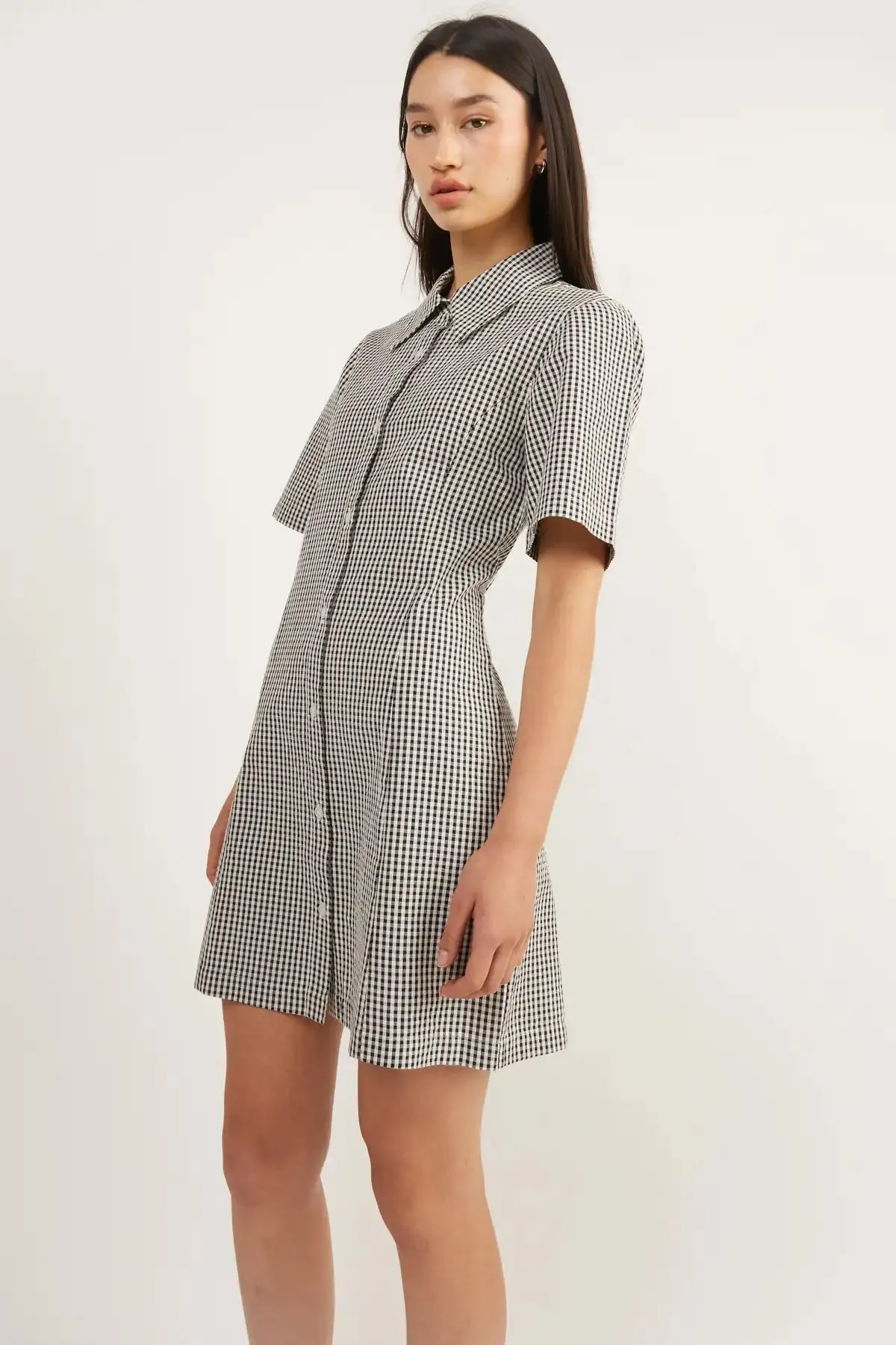 Collared Mini Gingham Dress