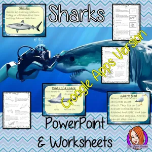 Distance Learning Sharks Google Slides Lesson