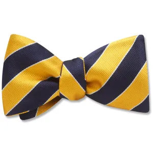 Scholastic Navy/Gold - Dog Bow Ties