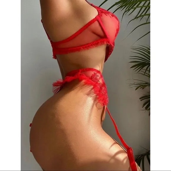 Sexy Sheer Floral Embroidered Lingerie Set