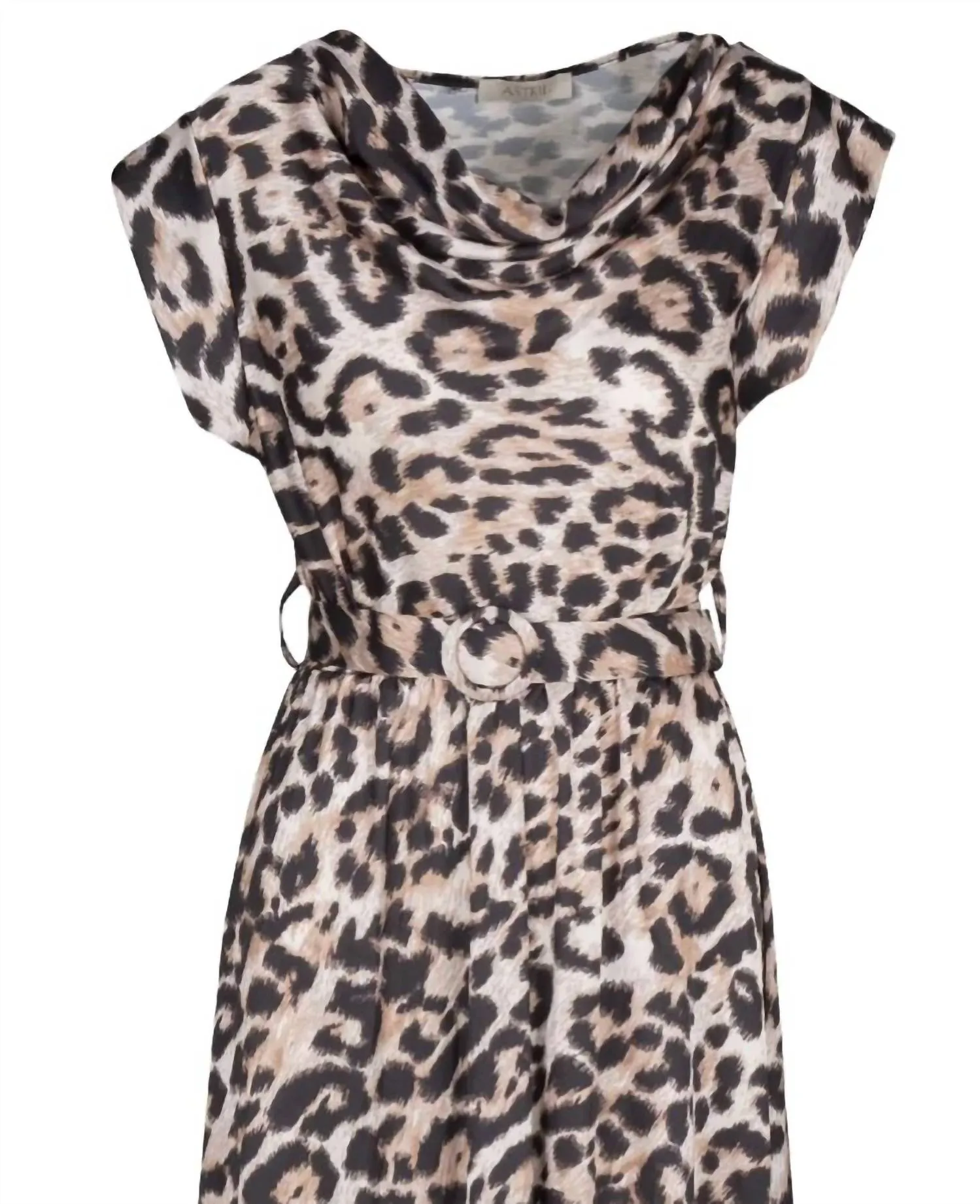Women's Outland Dress In Leo